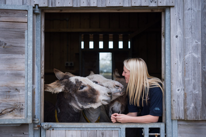 A woman leaning on a stable door smiles at two donkeys.